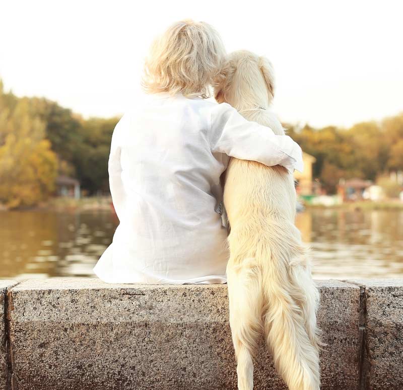 Water-Based Pet Cremation in Moore, OK